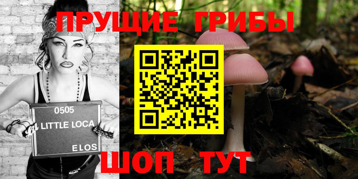 Галлюциногенные грибы мухоморы  Псилоцибиновые грибы мицелий  Вход с VPN  Азнакаево 