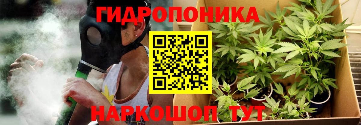 Азнакаево  Каннабис OG Kush  Шишки марихуана White Widow  Вход с VPN  Шишки марихуана White Widow 